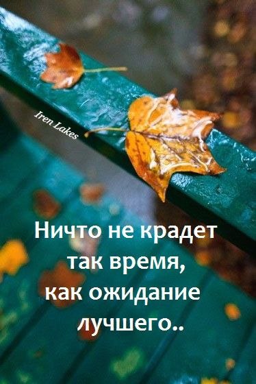   - 24  2025  15:16