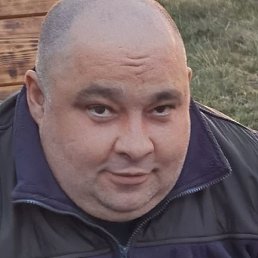 , , 51 