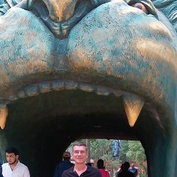 ���� �������, �������, 54 ���� - ��������� 9 ������� 2026