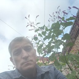 , 