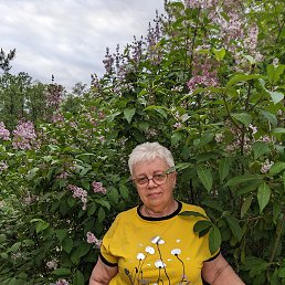 , 59, 