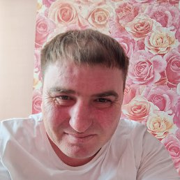 �����, 40 ���, ������