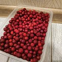������ �� ��� - � ������ ���� ����� �� ������� ��������� � ������� - ������ ��� ������
