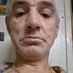  , 51, 