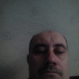 , 51, 