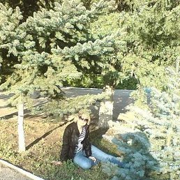 �������, ������, 57 ���