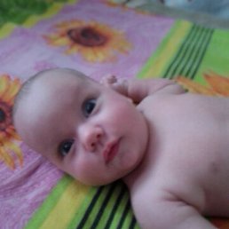 ��������, �����������, 34 ����