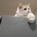 ���� ���)), ������� - ��������� 29 ������� 2023 � ������ ���� ����������