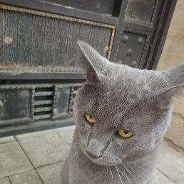 ����, ���������, 19 ���