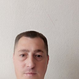 , 37, 