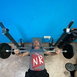 , 37, 