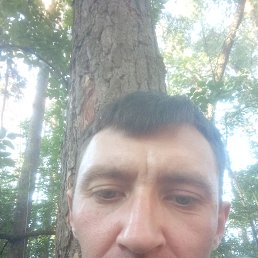 , 33, 