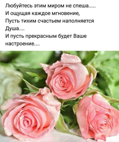   ,    . - 3  2025  19:57 - 2
