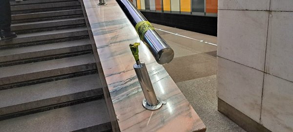 ���������. ����� ��������. - 2