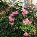 ���� �������, ������, 50 ��� - ��������� 12 ����� 2026