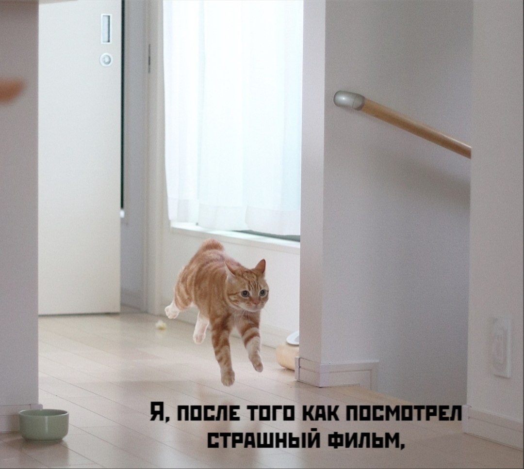 ��� ���� � ����� �� �� - 3 ������ 2026 � 17:03