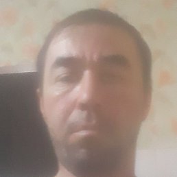 ������, ���������, 39 ���