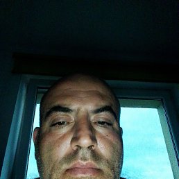 , 41, 