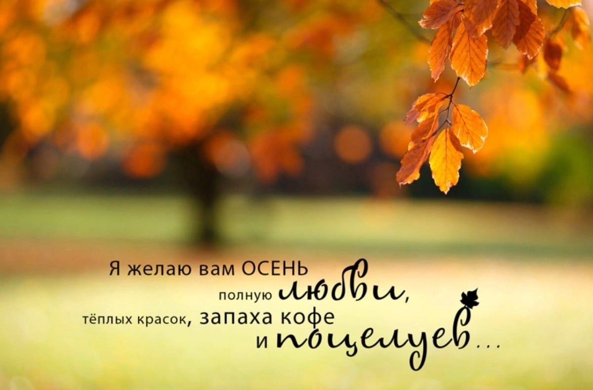   ,    . - 23  2025  11:14