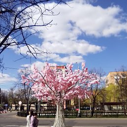 �������, ������, 27 ���