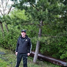 ����, �������, 39 ���