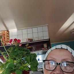 , 58, 