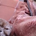 ���� ��������, ������, 42 ���� - ��������� 18 ������� 2023 � ������ ���� ����������