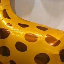 ������, �������, 57 ���