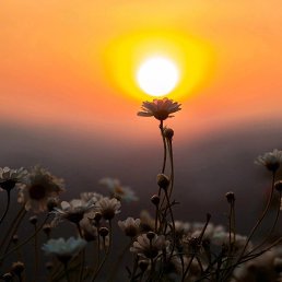 �������, �����