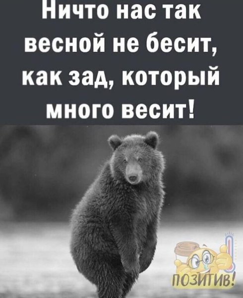   - 6  2024  19:10