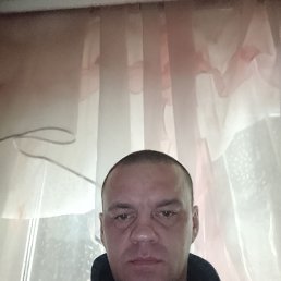 ����, 41 ���, �����