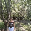 ���� ������, ��������, 66 ��� - ��������� 30 ������� 2026 � ������ ���� ����������