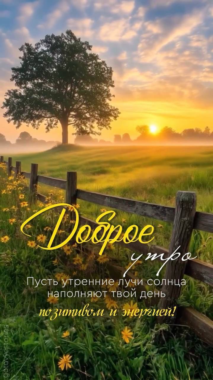 ***Victoria Viktorovna*** - 22  2025  04:22