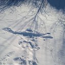 ���� ����, ��������� - ��������� 24 ������ 2024 � ������ ���� ����������