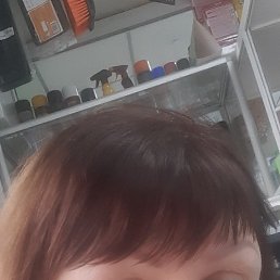 , 52, 