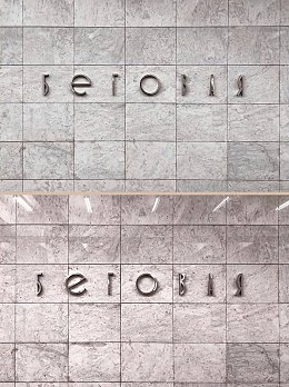 �����������