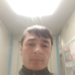, 40, 