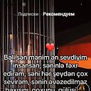 ���� �����, �����-���������, 20 ��� - ��������� 11 ���� 2026