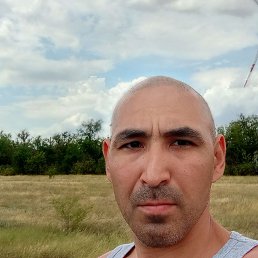 , 34, 