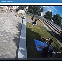 ���� �����, ����, 42 ���� - ��������� 8 ���� 2024 � ������ ���� ����������