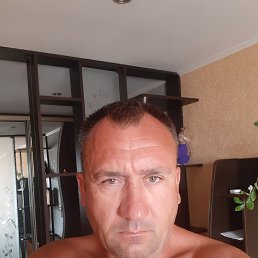 , 50, 