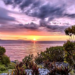 ������, ������, 62 ����