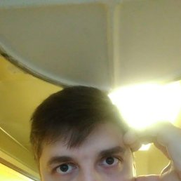 , 37, 