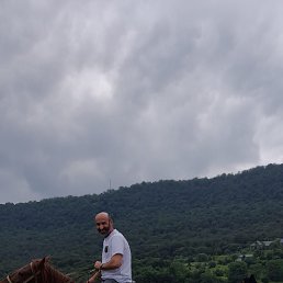 , 41, 