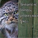  ,  -  26  2025    