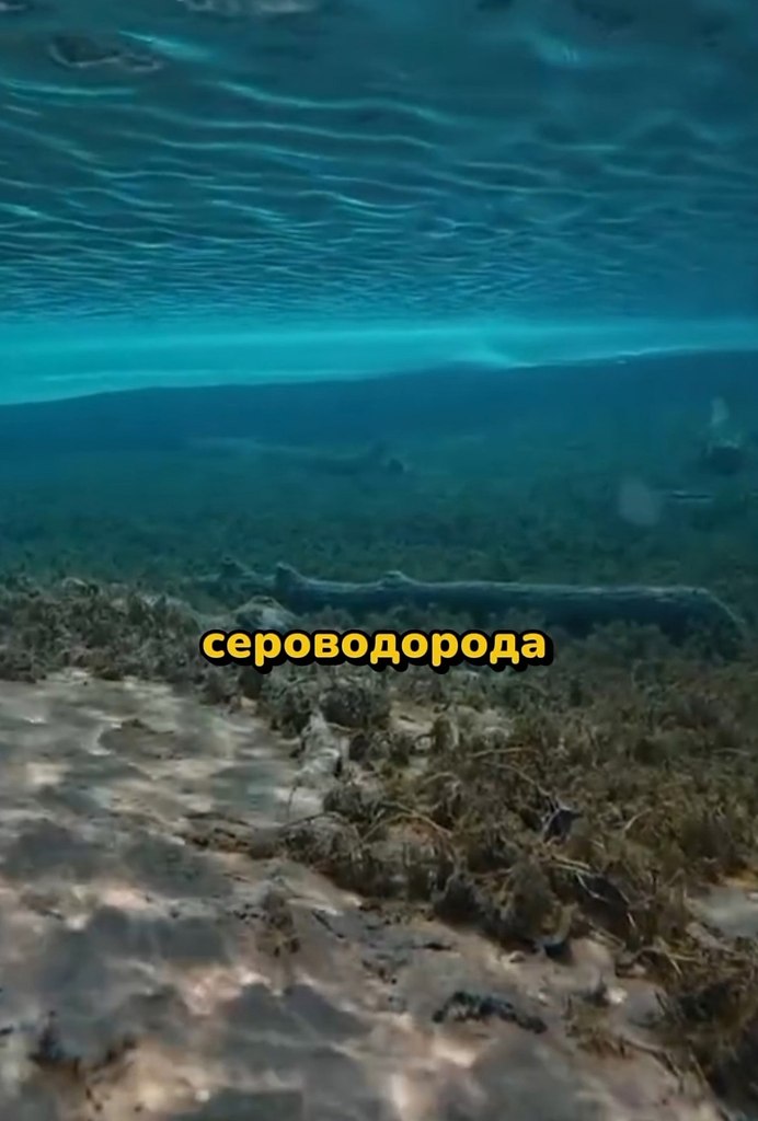     ..