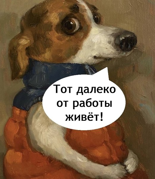 ���� - 19 ���� 2025 � 21:12 - 2