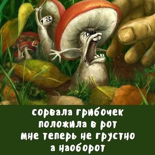   ! - 21  2025  11:18