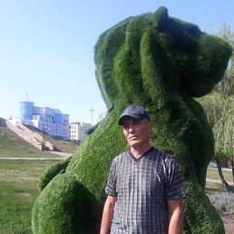 , 58, 