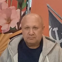 ���������, �������, 64 ����